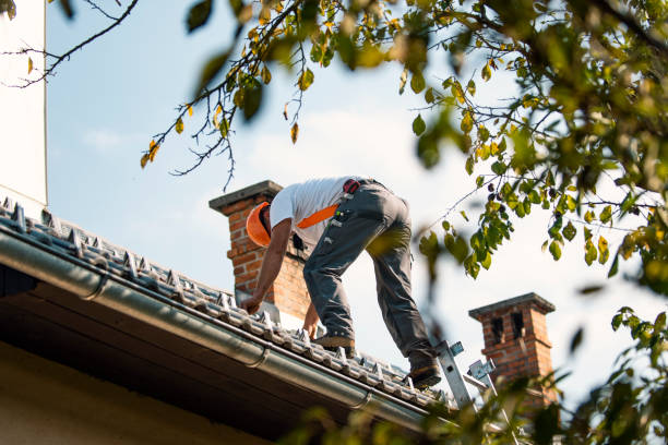 Best Tile Roofing Contractor  in Lake Of The Woods, VA