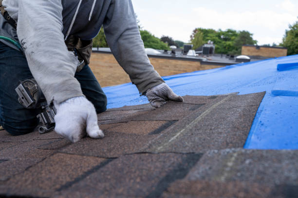 Best Metal Roofing Contractor  in Lake Of The Woods, VA
