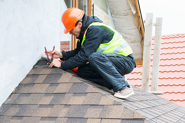 Roof Gutter Cleaning in Lake Of The Woods, VA